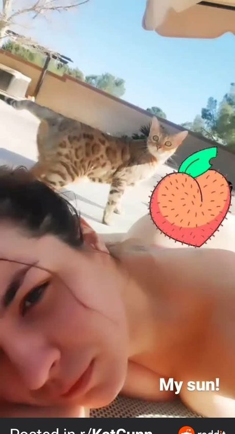 Kat Gunn pornstar best galleries