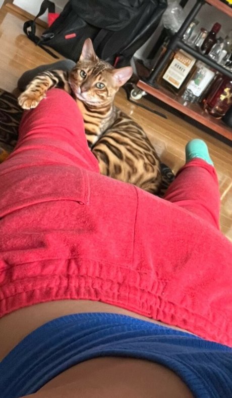 beautiful ebony onlyfans hot porn photos