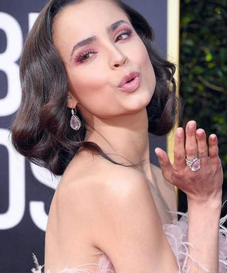 Sofia Carson model porn image