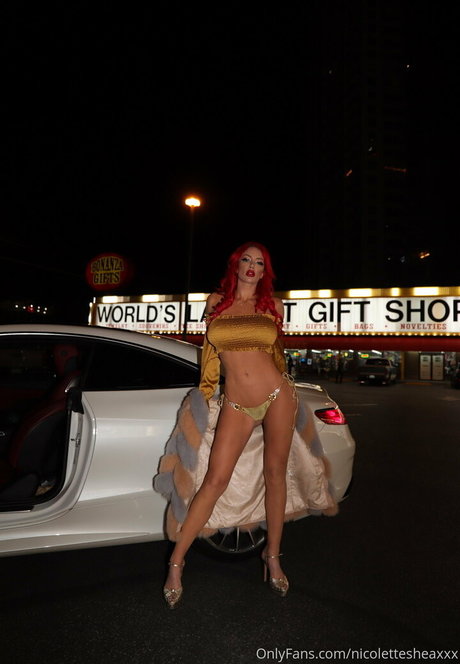 nicolettesheasquad star sexy images