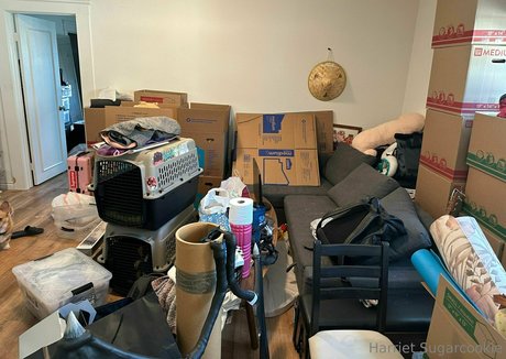 trans free onlyfans beautiful pictures