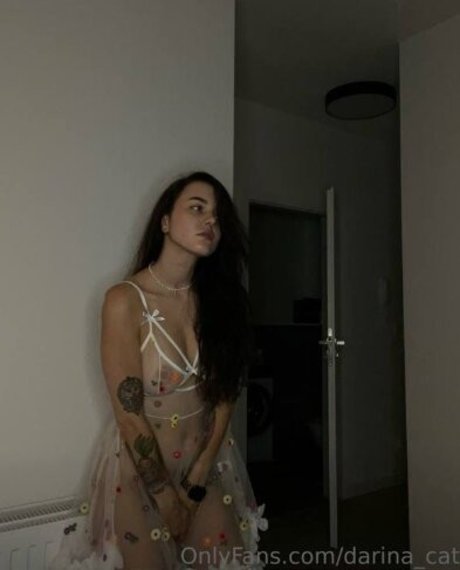 darina cat pornstar xxx archive