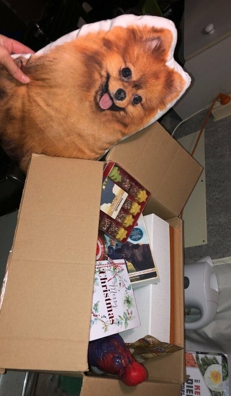 kitty free onlyfans hot sexy galleries