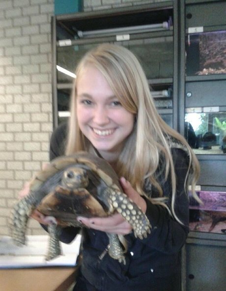 siswet19 sexy model photo