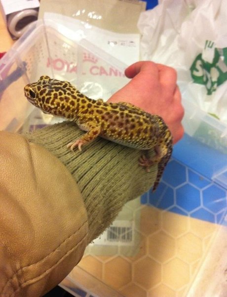 siswet19 best pornstar pic