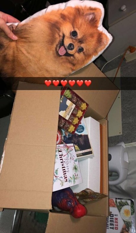 siswet19 pornstar img