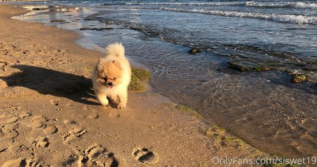 beautiful ebony onlyfans free sexy img