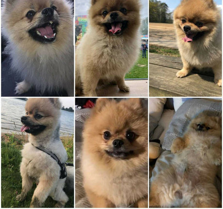 asian gangbang onlyfans free xxx gallery