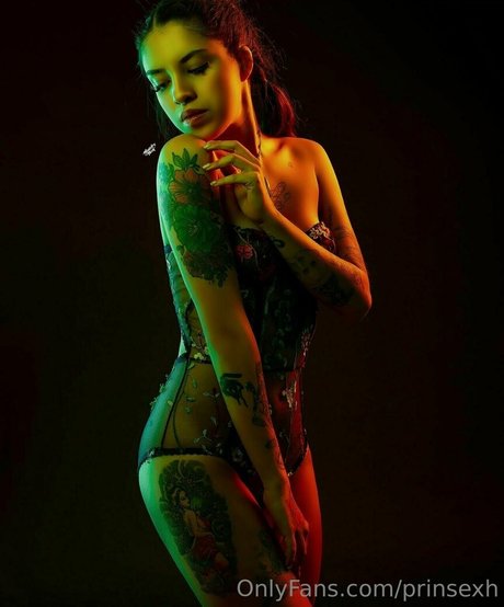 prinsexh art model image