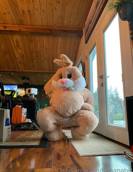 bananabis star perfect image