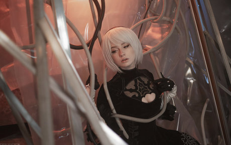 Likeassassin top star images