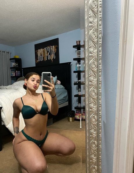 Janaevic model perfect images