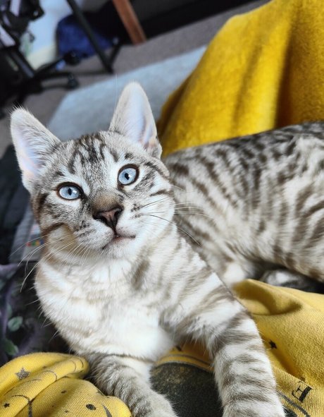 sweet pussy onlyfans xxx gallery