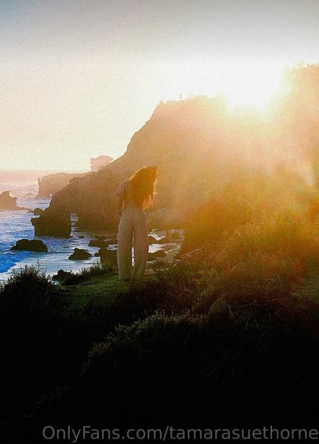 Tamara Sue Thorne star naked img