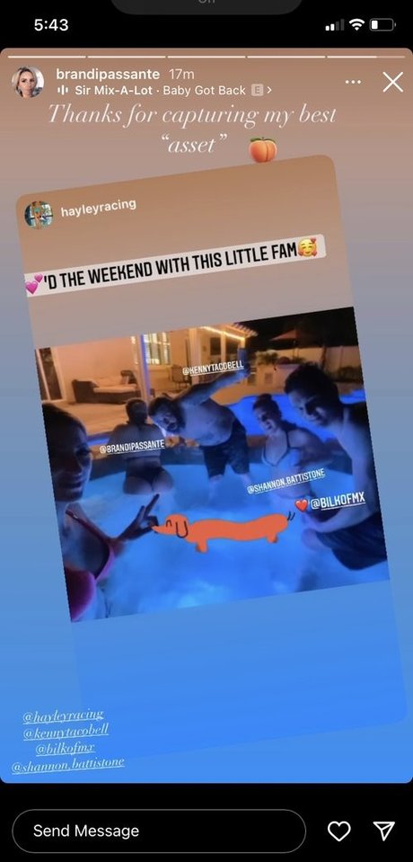 Brandi Passante star erotic galleries