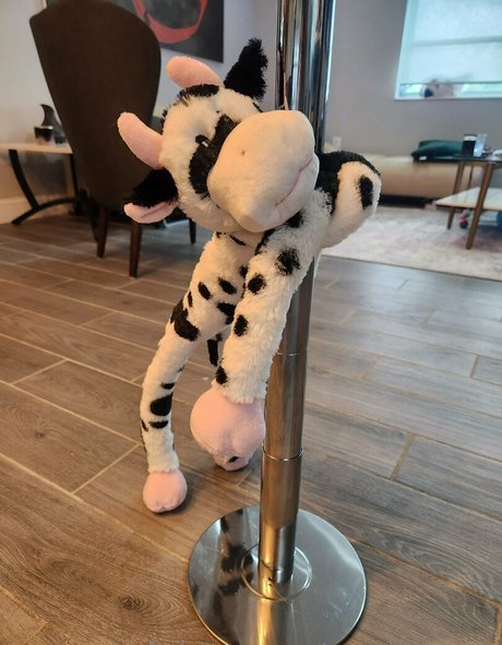 itsmekiraperez star sex galleries