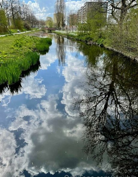 natural ass onlyfans free porn photos