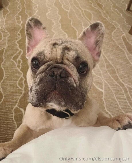 Elsadreamjean Profile Pic