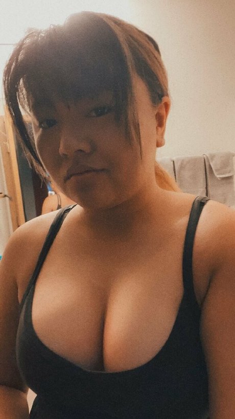 toetalwreck free pornstar archive