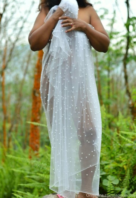 jaanuaunty star free images