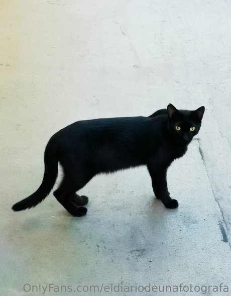 eldiariodeunafotografa erotic pornstar archive