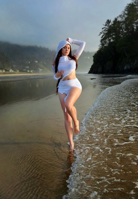 _li si_ star free img