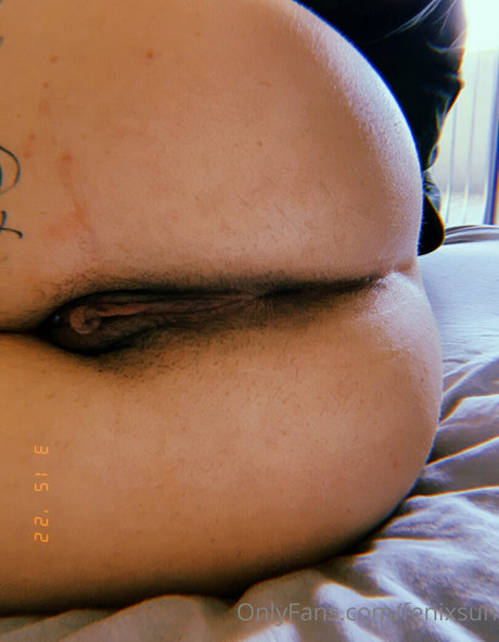 Fenix Sun Profile Pic