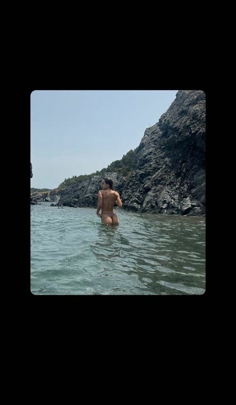 ampipenia star hd galleries