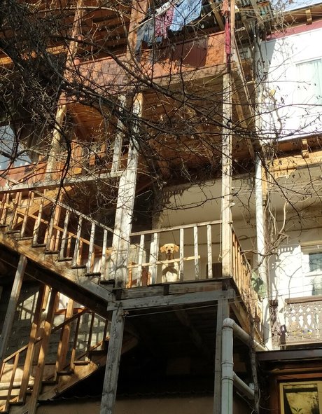 asian student onlyfans beautiful naked galleries