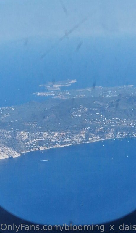 blooming x daisy star hot pic