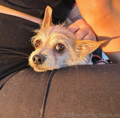 x cherrybxmb x model sexy image