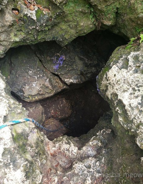 skinny asian teen onlyfans art nude image