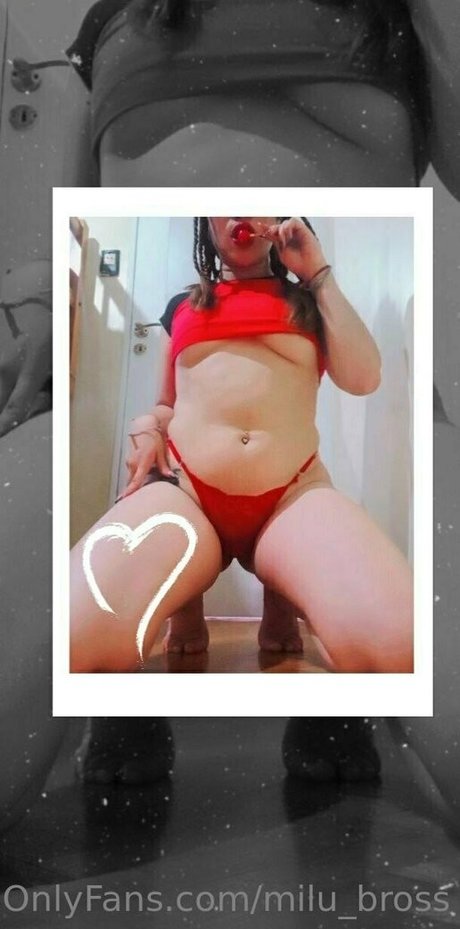 milu bross star beautiful galleries