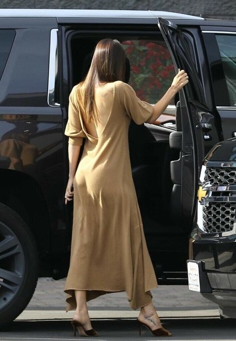 Dakota Johnson art star pics