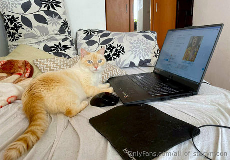 all of stacymoon hot model galleries