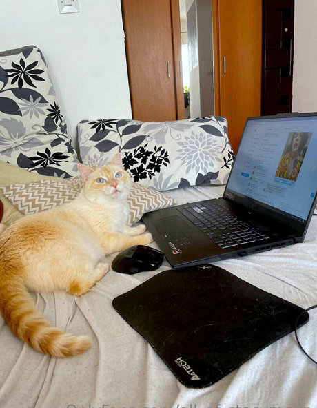 all of stacymoon Profile Pic