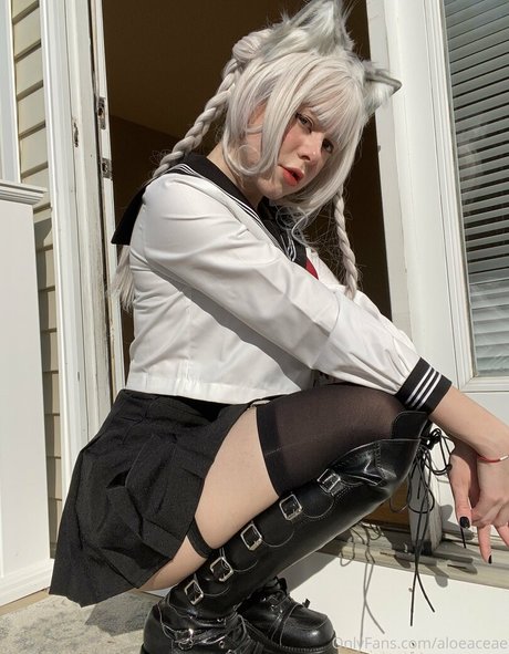 aloeaceae exclusive star archive