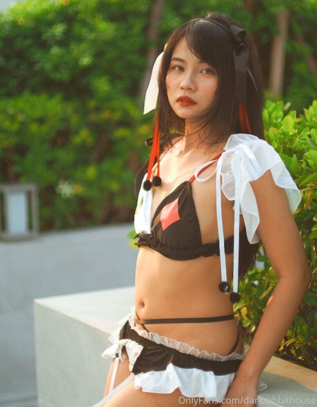 Darkrabbithouse best star galleries