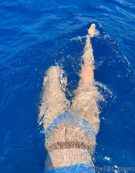 bellas paws pornstar top image