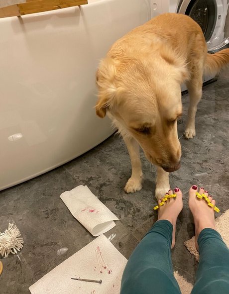 bellas paws nice model img