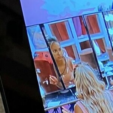 bellas paws nice star archive