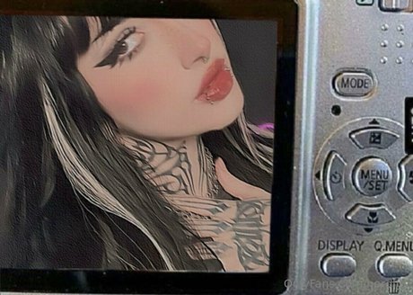 nordlys top pornstar picture