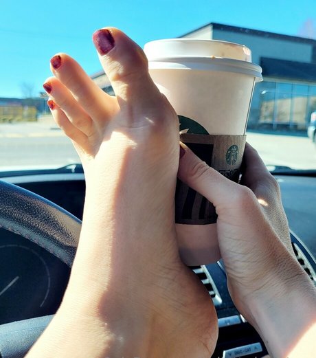 ballettwinkletoes exclusive star archive