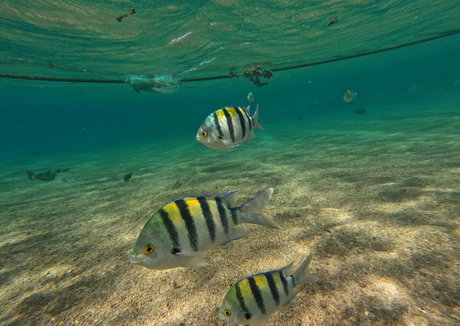 babylonias hot model pic