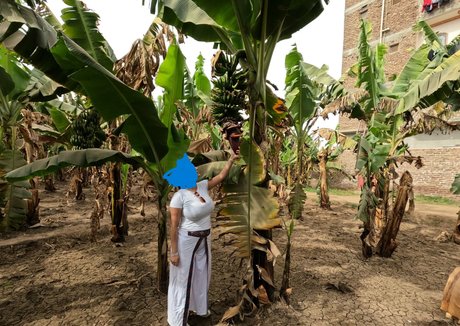 babylonias erotic star picture