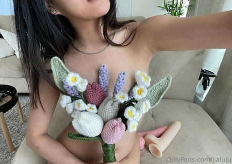 jialulu star pornographic gallery