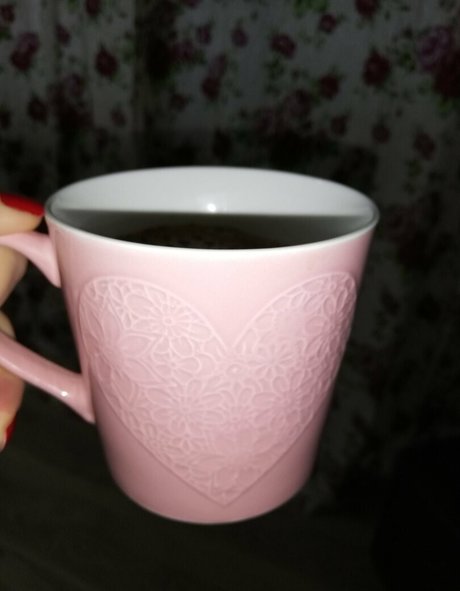 brinaloveee top star gallery