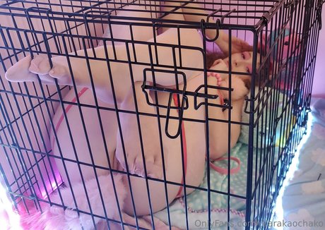 urarakaochako pornstar pics