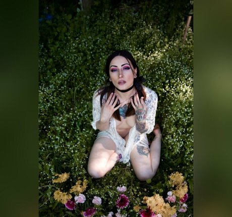 renegadephotography top star gallery