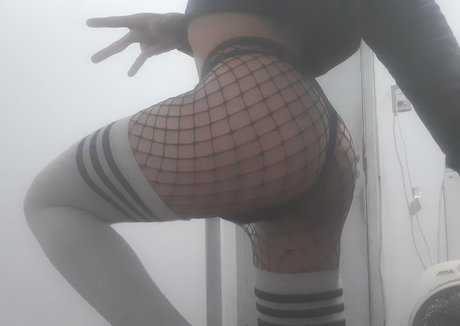 gayasslawren erotic star archive